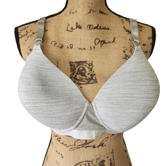 Hanes Gray/Silver Full-Coverage Bra with Soft Molded Cups - 2XL - Picture 2 of 6